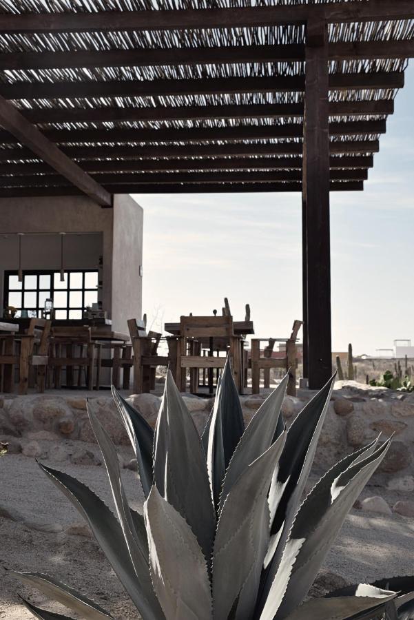 Hotel Desierto Azul Todos Santos Exterior foto